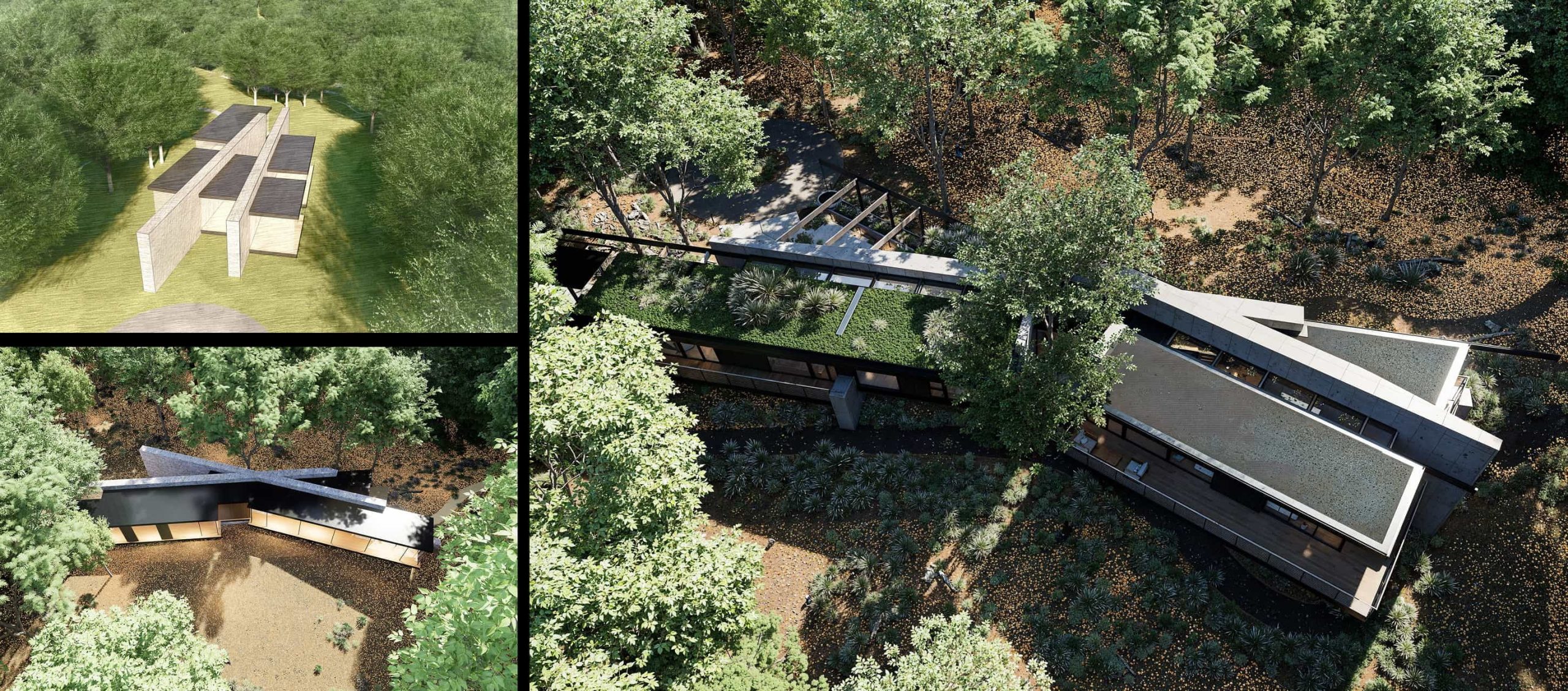 How AODK Uses D5 for Teams to Visualize Biophilic Architecture in Real Time
